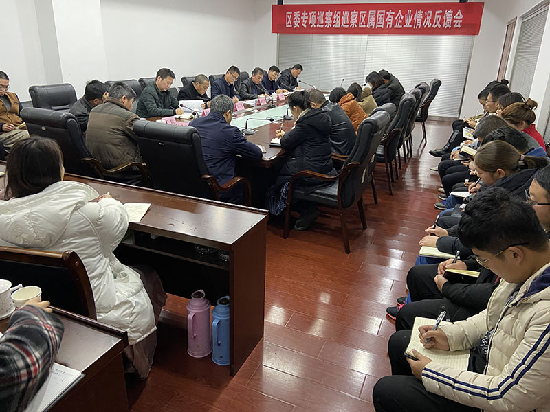 區(qū)委專(zhuān)項(xiàng)巡察組向屯溪城建投公司反饋巡察情況
