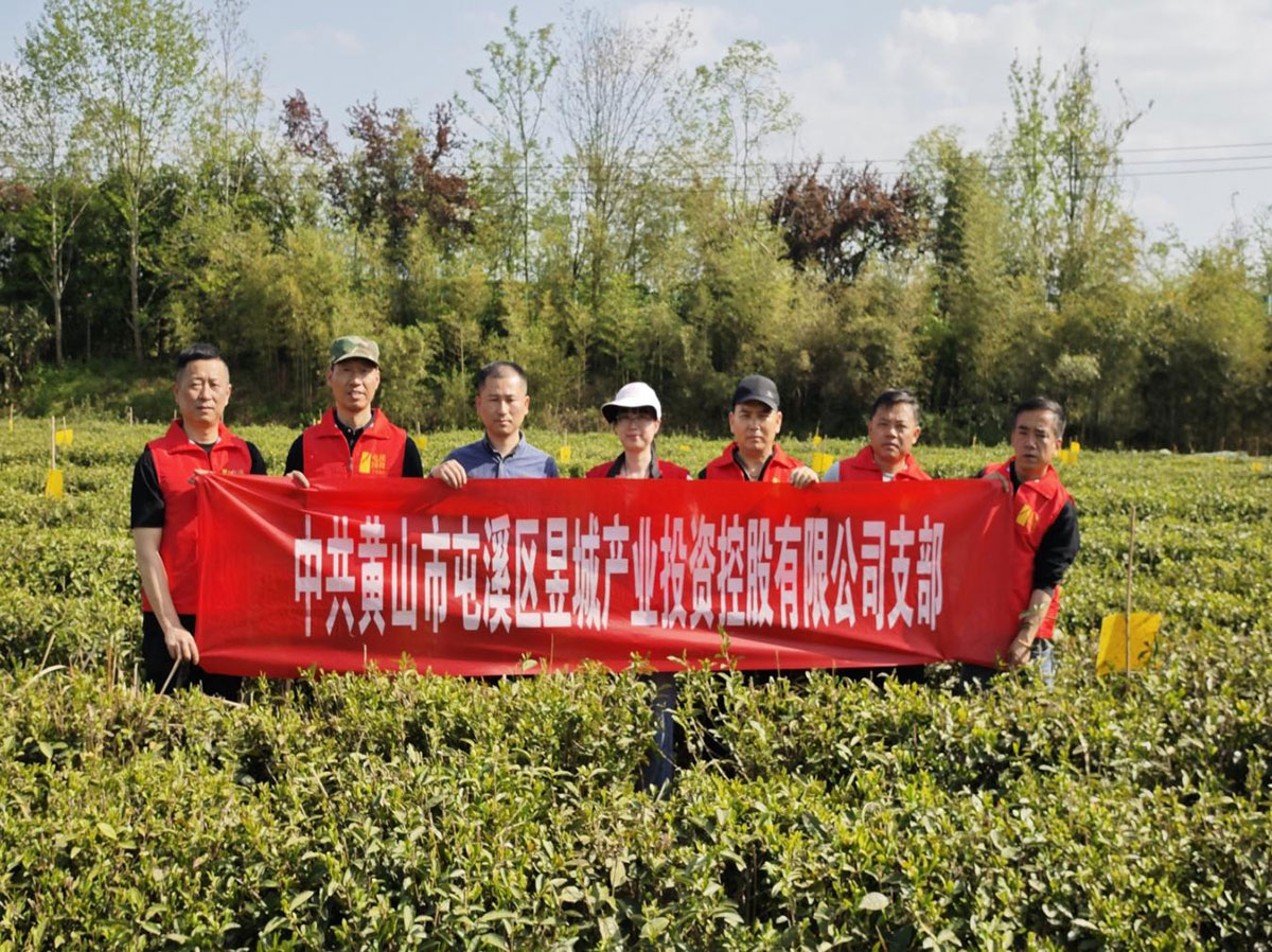 昱城產(chǎn)投公司黨支部開展“茶香潤初心，黨旗映茶園”主題黨日活動